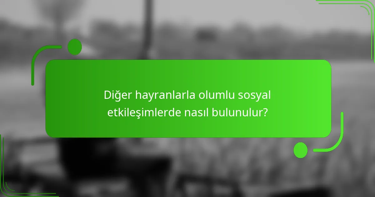 Diğer hayranlarla olumlu sosyal etkileşimlerde nasıl bulunulur?