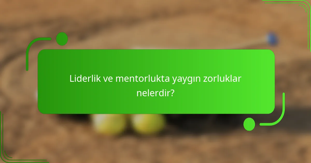 Liderlik ve mentorlukta yaygın zorluklar nelerdir?